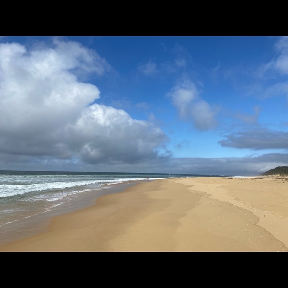 Meet the Posher - Picture 2 of 2